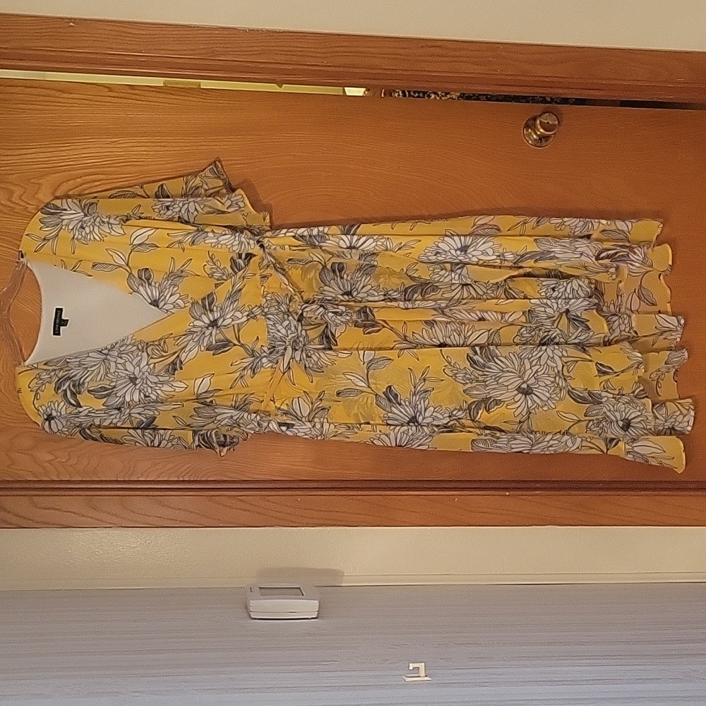 Pretty Floral Chiffon Lane Bryant dress